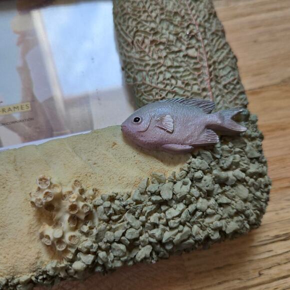 Fancy Frames 1995 Under Water Beach Themed Photo Frames Fish Shells Sand Coastal - Picture 6 of 12